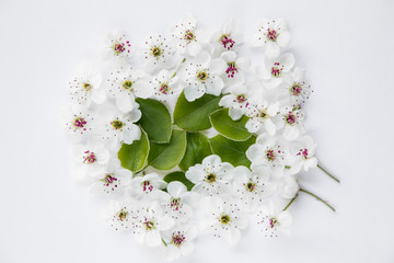 White flowers composition pattern on white background. Easter, spring, summer concept. Flat lay, top view