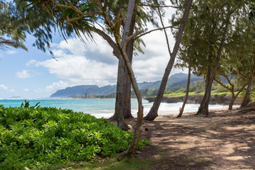 Laia Beach Park, Oahu Hawaii