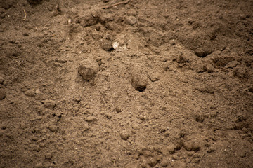 A pile of dry land