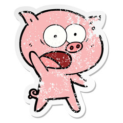 distressed sticker of a cartoon pig shouting