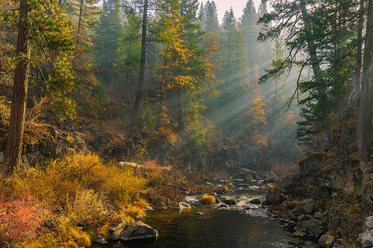 McCloud River