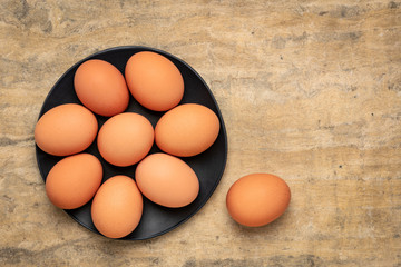 free-range large brown chicken eggs