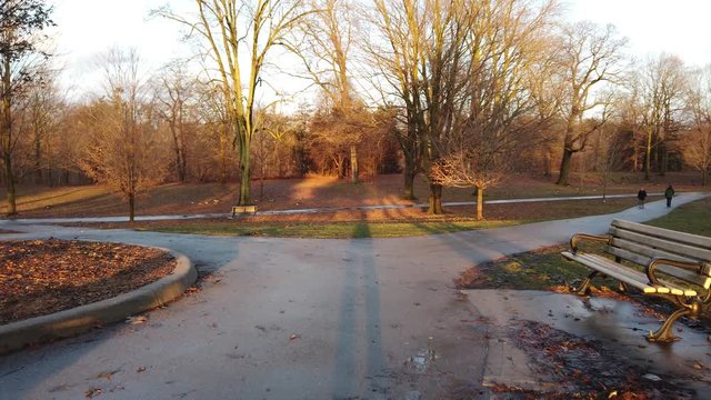 Walking Through Park With Sunlight And Shadow On Ground