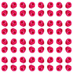 Watercolor illustration of raspberry isolated on white background. Seamless pattern
