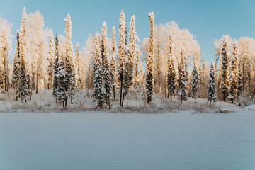 winter landscape with trees and blue sky