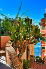 Boccadasse, Italy is a small fishing village in the Genoa (Genova) area.  This popular tourist attraction is easy to get to from the city.  the colorful village sits on the shores of the Mediterranean