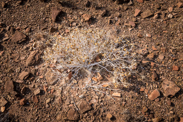 Namibia