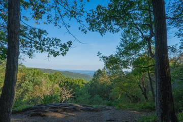 Fototapeta premium Widok na park stanowy