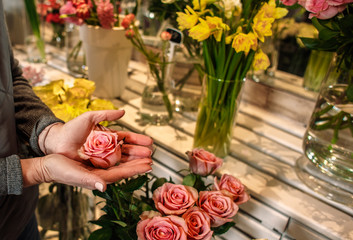 Flower on the woman hand's. Detail. Close up. Fresh rose in the gardener's hand's. Flower shop. 