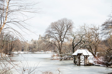 winter landscape in Central Park 