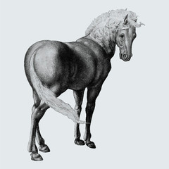 Horse in vintage style