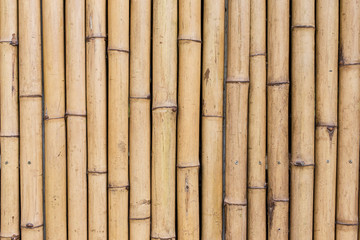 Bamboo wall