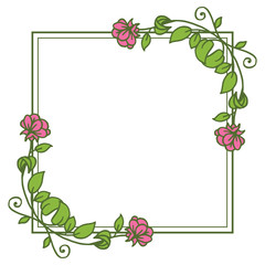 Vector illustration beautiful leaf flower frames design hand drawn