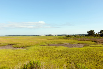 Fototapeta na wymiar Field of green dune grass along with North Carolina coastline, with a tidal pools at low tide in foreground and a bridge in the background
