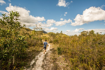 Little boy holding a branch, seen from behind, walking on a trail amidst dense vegetation, with sun coming through the leaves.