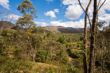Native, green vegetation in rural Brazil, with a small house and mountains on the back. Blue sky with some clouds.