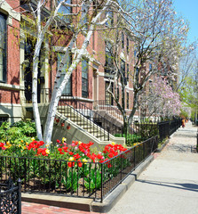 Boston Back Bay in the Spring