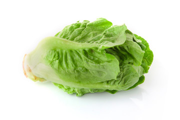Romain Lettuce isolated on a white