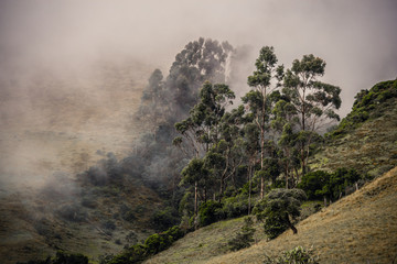 La bruma de la gran montaña