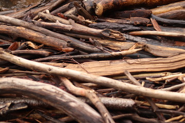 Bundle of Sticks