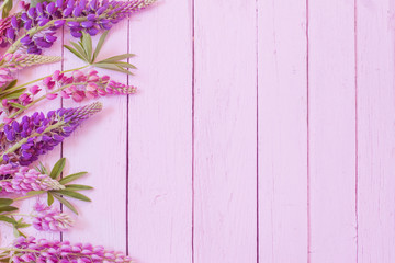 lupine on pink wooden background