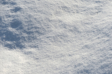 White snow texture on a sunny day. Winter background