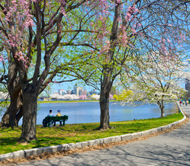 Boston Esplanade in the Spring