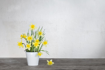 yellow narcissus in vase on old wooden wall
