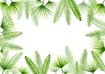Fototapeta na wymiar Summer background with green tropical leaves frame