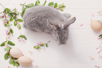 rabbit with flowers on white wooden background