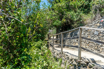 Italy, Cinque Terre, Corniglia, a bench next to a tree