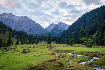 Fototapeta na wymiar A landscape of Himalayas in Kashmir with a meadow in the foreground and a small stream flowing through the meadow