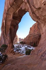 pine tree arch