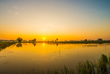 The atmosphere in the countryside dawn.