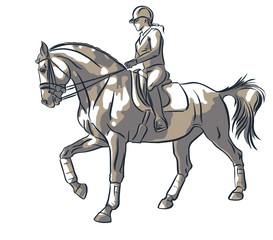 Equestrian sport. Young woman riding on a horse.
