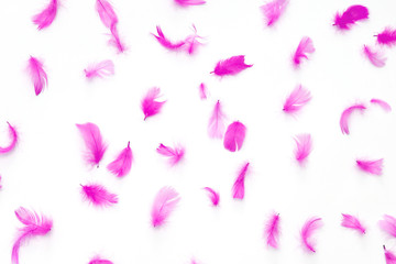 pink feathers pattern on white background. view from above