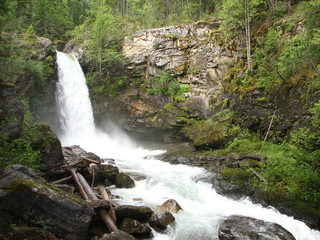 waterfall in forest