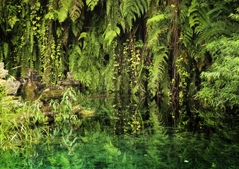 Misty tropical jungle view. Macro green plant wall. 