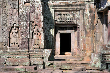 Fototapeta na wymiar Cambodia, Siem Reap, Angkor, Preah Khan Temple.