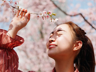 Outdoor portrait of beautiful young Chinese girl in red shirt posing among pink blossom cherry tree brunch in spring garden, beauty, summer, emotion, expression and people concept. 