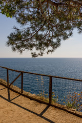 Italy, Cinque Terre, Manarola, a body of water