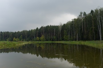 Fototapeta na wymiar The Meshchersky pond in Park of Moscow