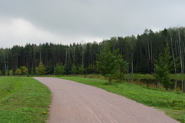 Fototapeta na wymiar Path in Meshchersky Park in Moscow