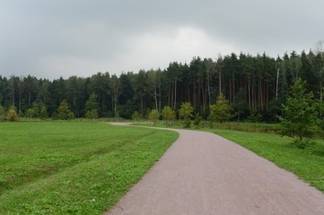 Path in Meshchersky Park in Moscow