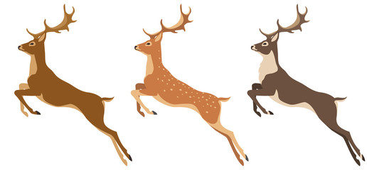 set of deer