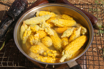 organic maize