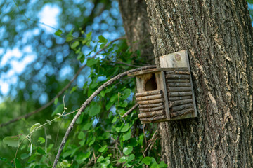 Squirrel Ritz-Carlton for one please.