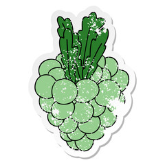 distressed sticker of a quirky hand drawn cartoon bunch of grapes