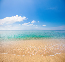 beach and beautiful tropical sea