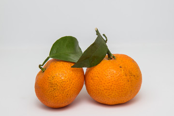 Tangerine and mandarin orange isolated on white , mandarin orange are symbolic to  Fruits of Prosperity and Chinese new year, Chinese New Year Concept (image selective focus)